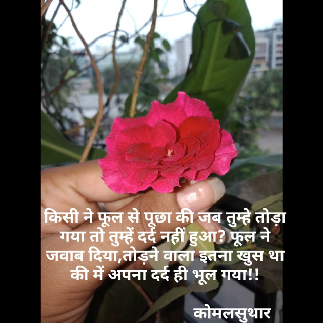 Gujarati Motivational by Komal Suthar : 111424900