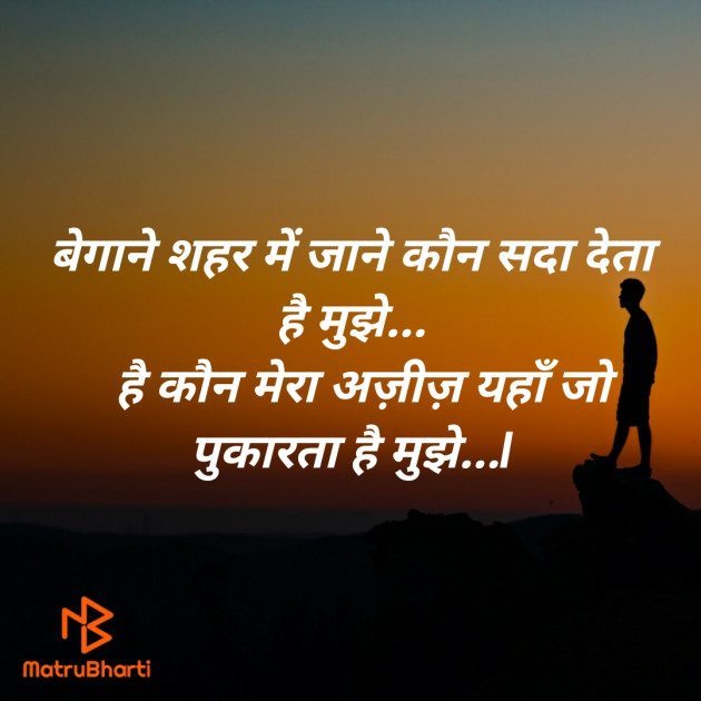 Hindi Blog by SMChauhan : 111424943