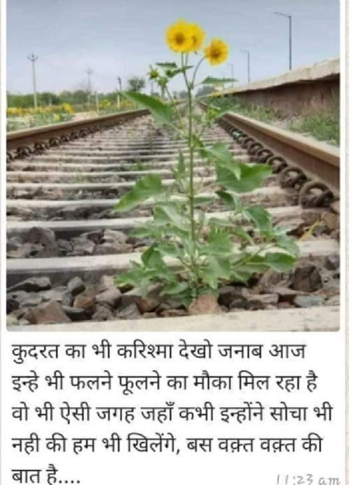 Post by Sandip on 07-May-2020 07:30pm