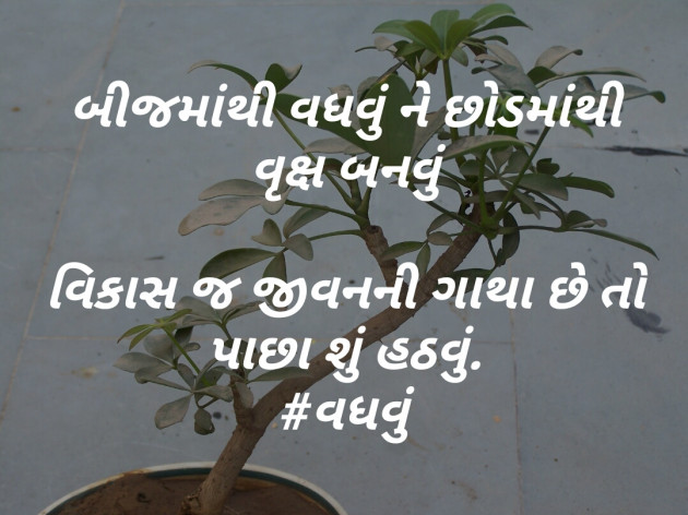 Gujarati Thought by Kulsoom : 111426002