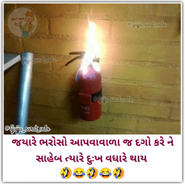Gujarati Jokes by gujju surat valo : 111426107