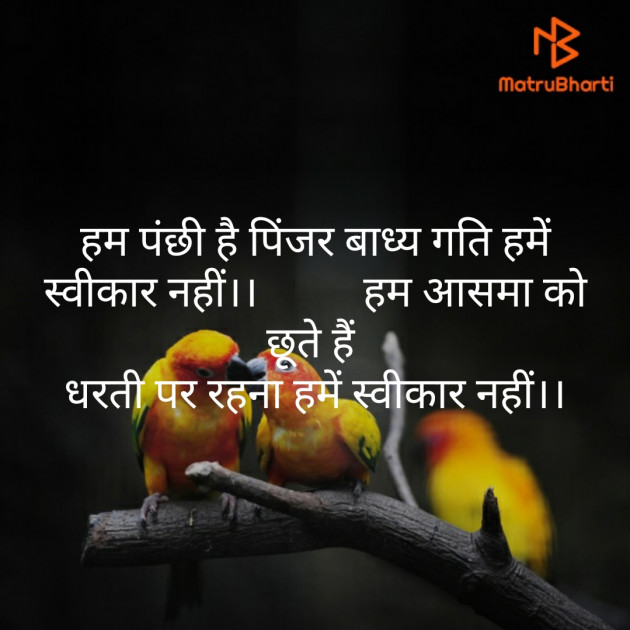 Hindi Motivational by Anju : 111427038