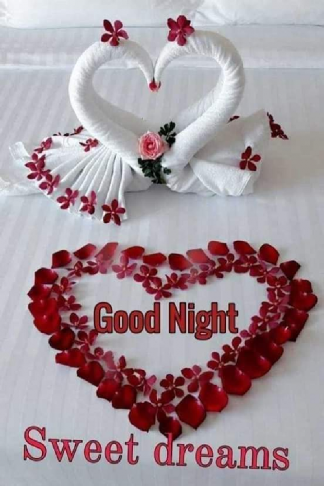 Gujarati Good Night by Raj Songara : 111427158