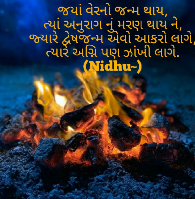 Gujarati Blog by Nidhu : 111427813