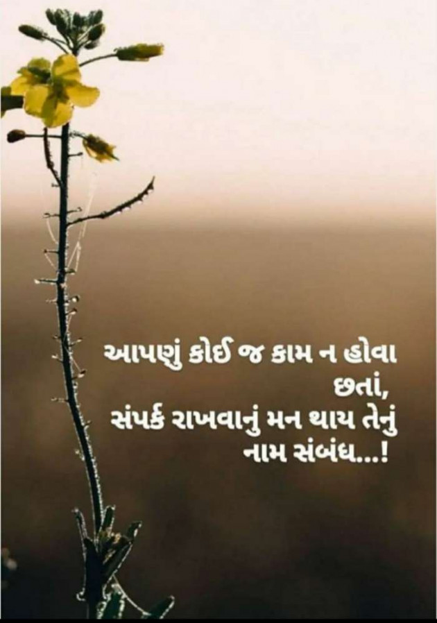 Gujarati Microfiction by Punita : 111428036