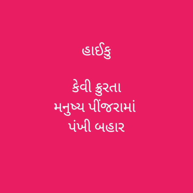 Gujarati Good Evening by Dinesh : 111429531