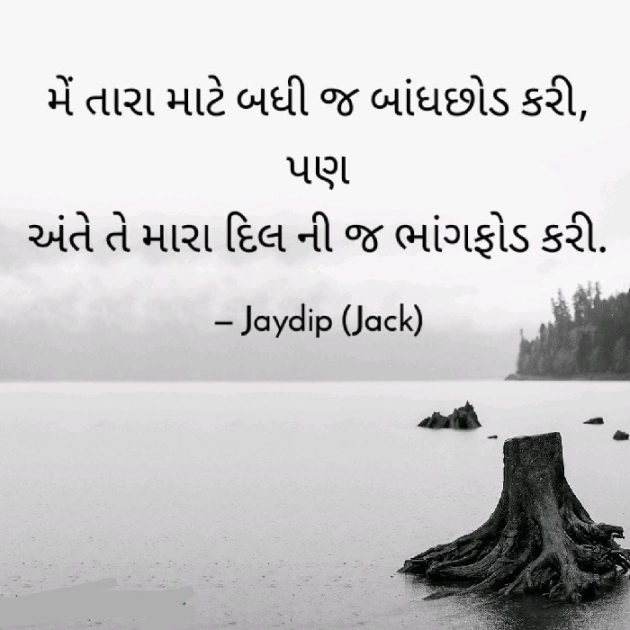 Gujarati Shayri by Jaydip Patel : 111429839