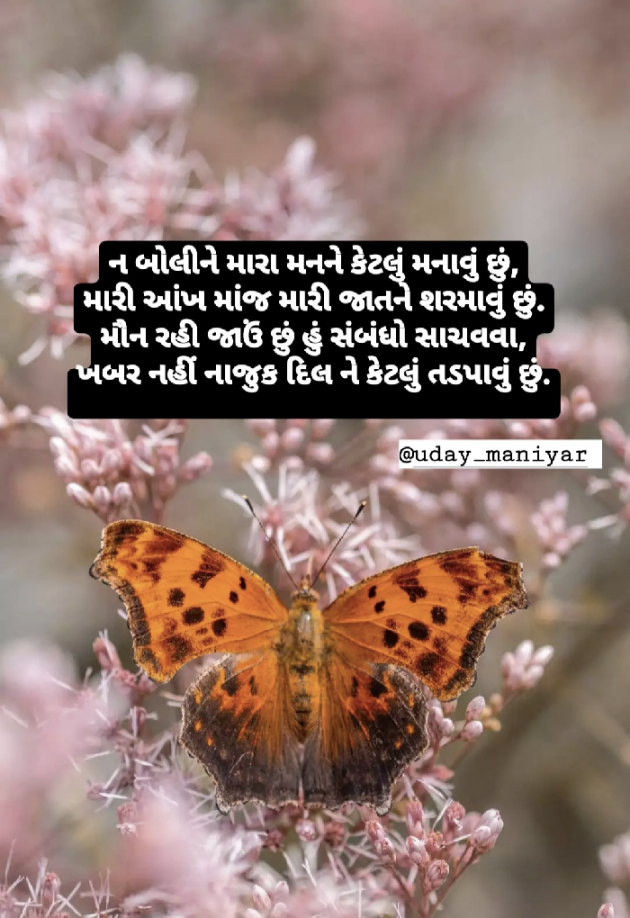 Gujarati Shayri by Uday Maniyar : 111430076