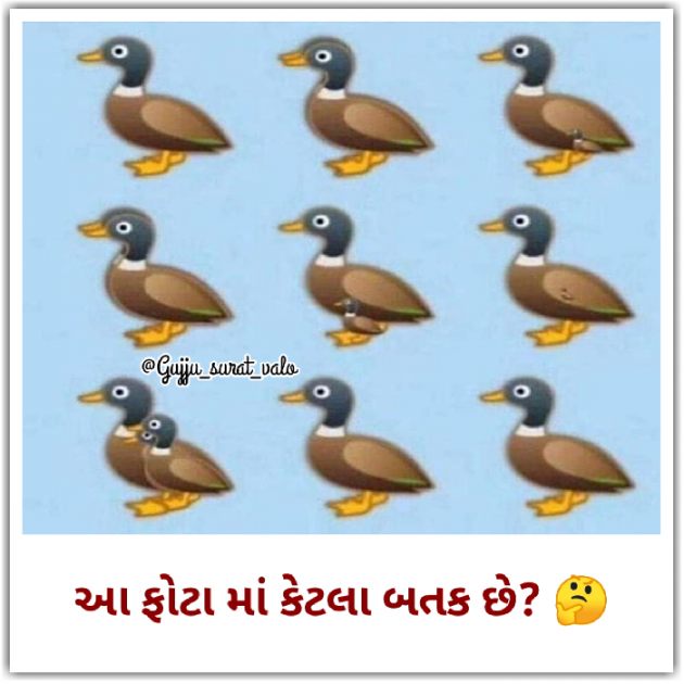 English Funny by gujju surat valo : 111430781