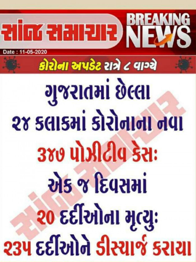 Gujarati News by Harshad Patel : 111430880