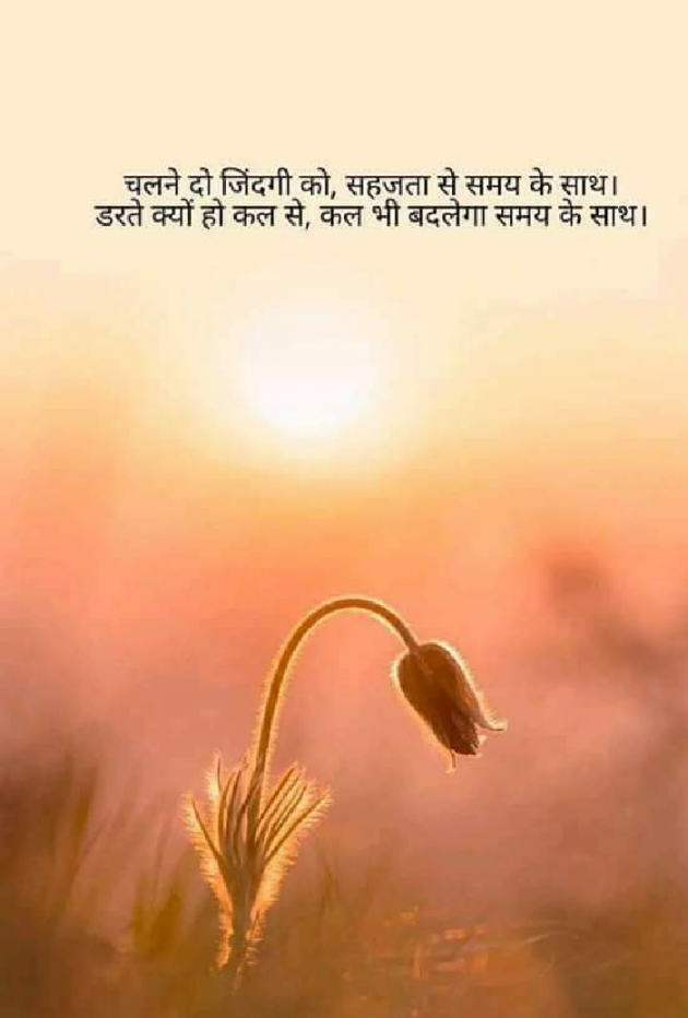 Hindi Blog by Ridj : 111431033