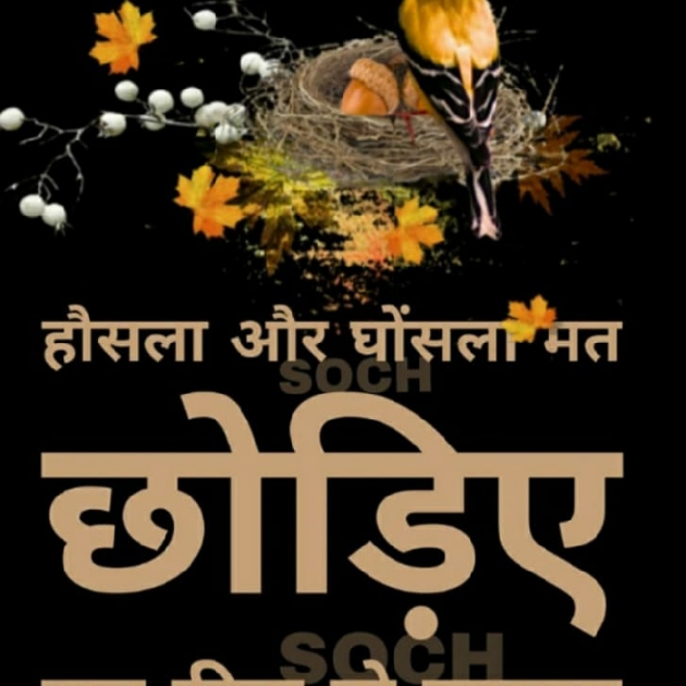 Hindi Poem by Anil Bhatt : 111431637