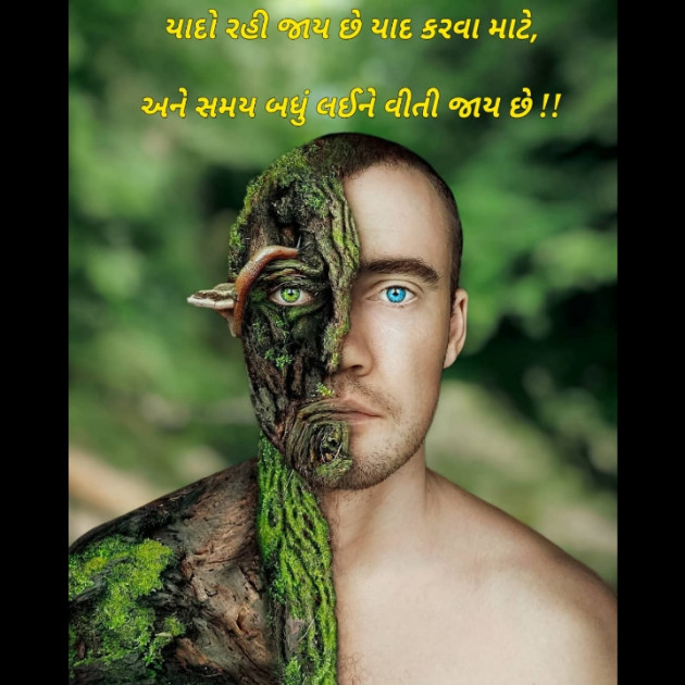 Hindi Shayri by Savani Nikunj : 111431880