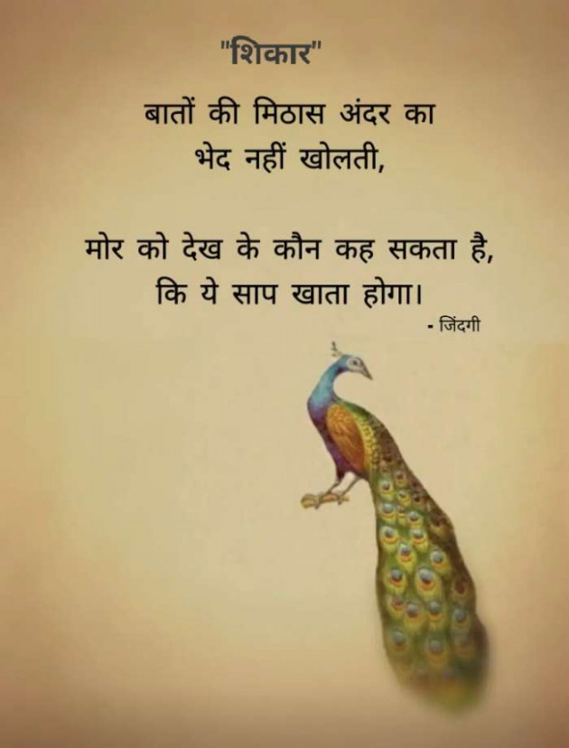 Hindi Blog by RajniKant H.Joshi : 111432034