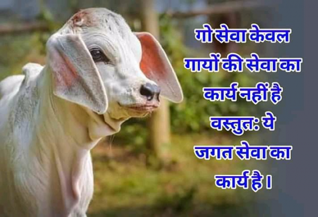 Hindi Religious by संजय कुमार दवे : 111432170