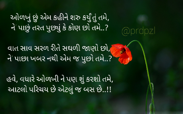 Gujarati Blog by Pradipsinh Zala : 111432951