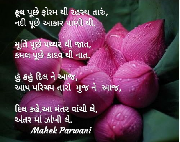 Gujarati Poem by Mahek Parwani : 111433180