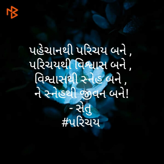 Gujarati Thought by Setu : 111433443