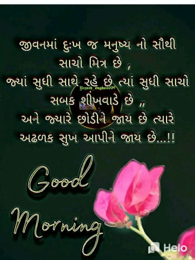 Gujarati Good Morning by Suresh Tanna : 111433834