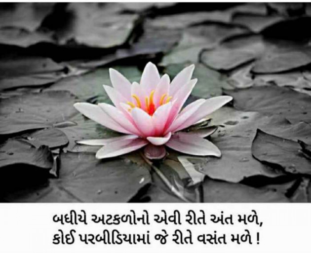 Gujarati Microfiction by Meena Parmar : 111434482