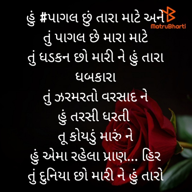 Gujarati Shayri by hir ahir : 111434735
