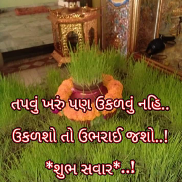 Gujarati Religious by Bhavna Bhatt : 111435597