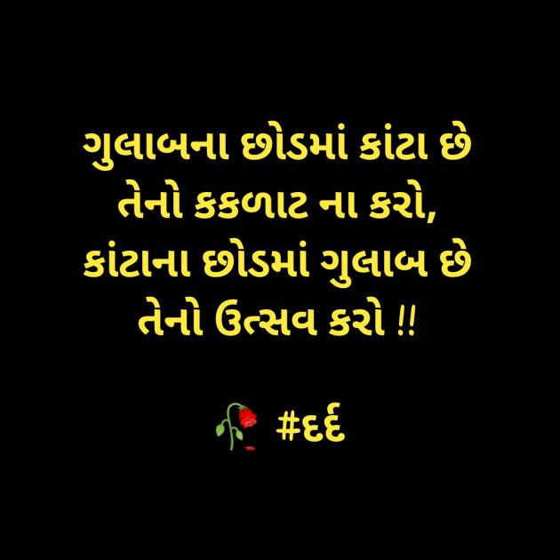 Gujarati Shayri by દર્દ ની લાગણી : 111435815