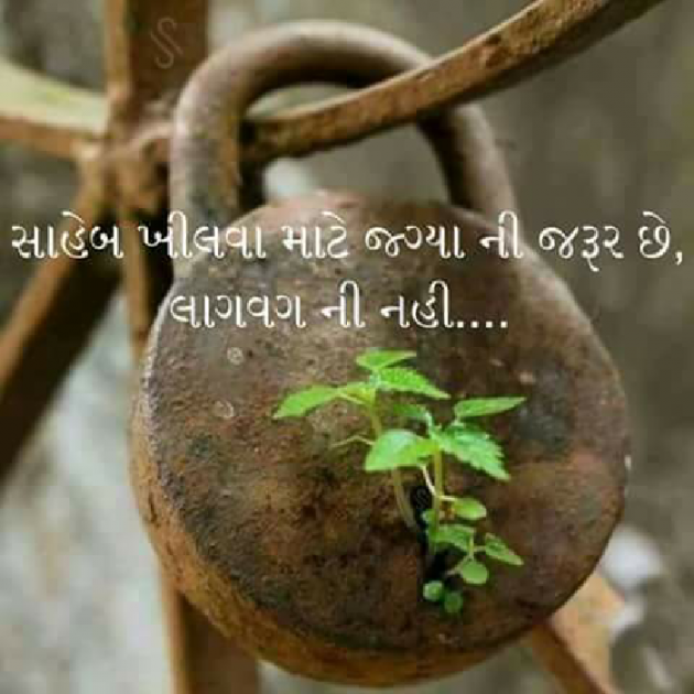 Gujarati Good Night by Jignesh Vsv : 111436017