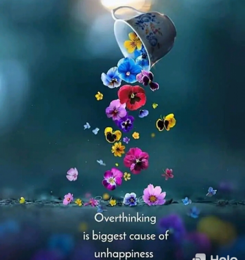 Post by Parul Patel on 16-May-2020 04:10pm