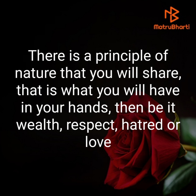 Hindi Thought by Heena_Pathan : 111438016