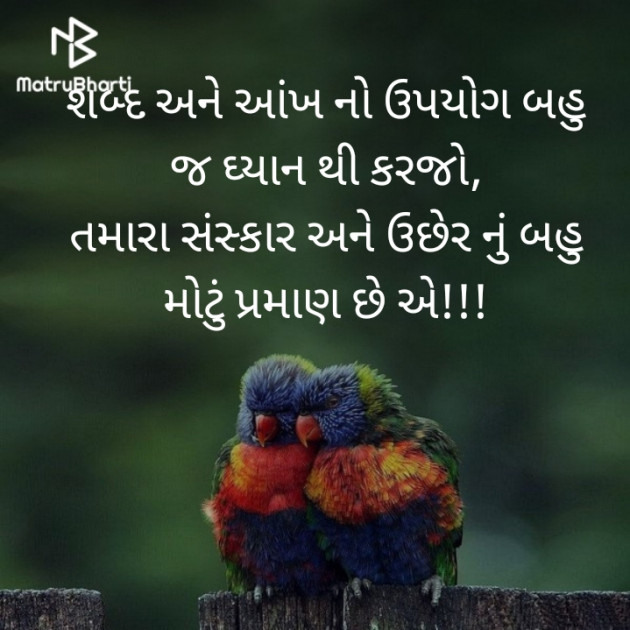 Gujarati Motivational by Heer : 111438023