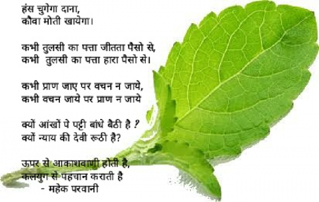 Hindi Poem by Mahek Parwani : 111438253