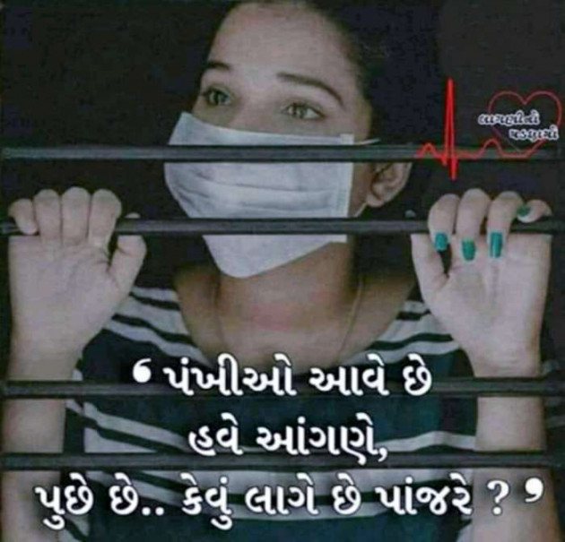 Gujarati Good Evening by Harshad Patel Pij : 111438310