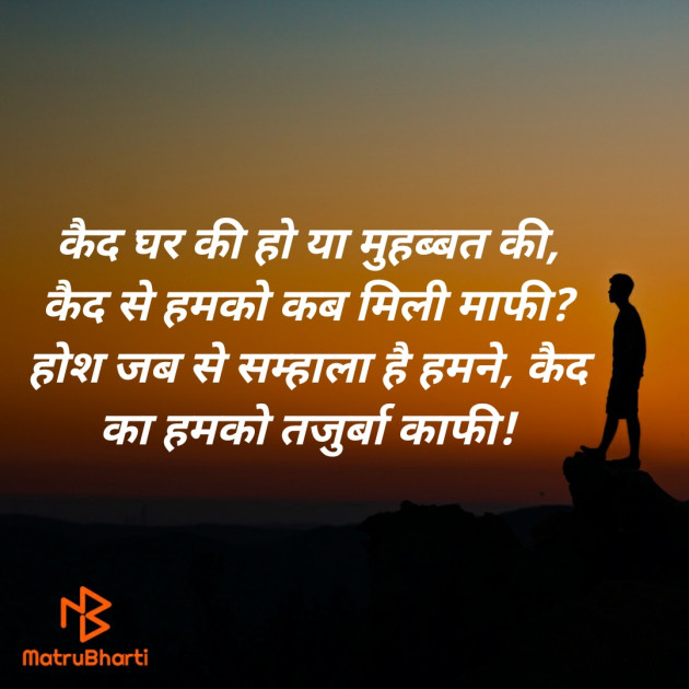 Hindi Blog by SMChauhan : 111439129