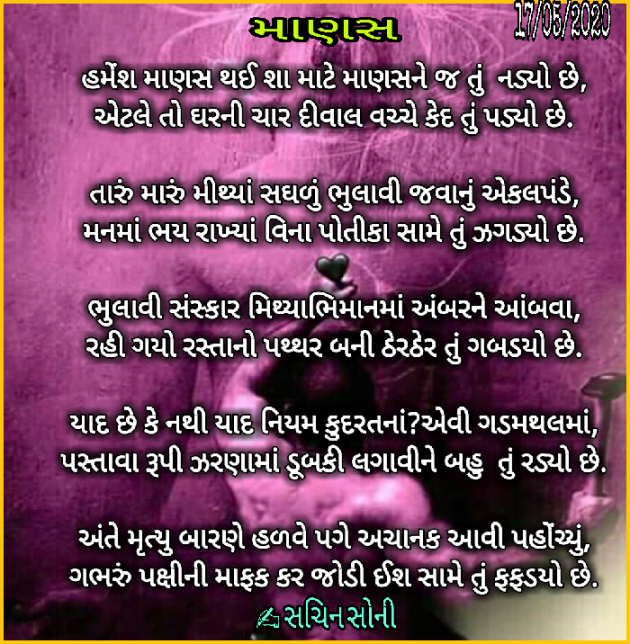 Gujarati Poem by Sachin Soni : 111439258