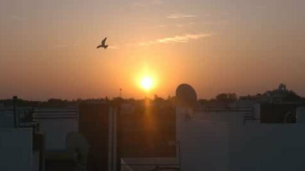 Gujarati Good Evening by Bhavesh Rathod : 111439567