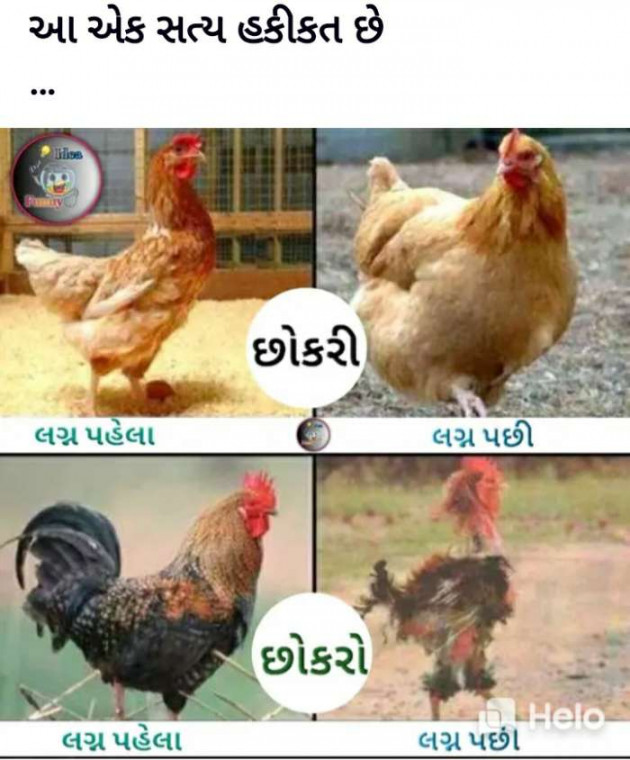 Gujarati Funny by Harshad Patel : 111440008