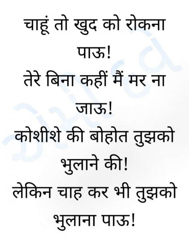 Hindi Blog by Ammy Dave : 111440505