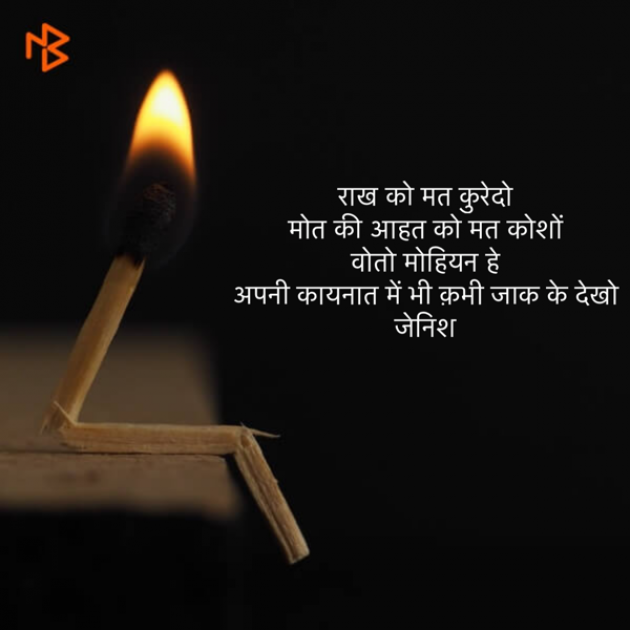Hindi Blog by Gandhi Jenish : 111440864