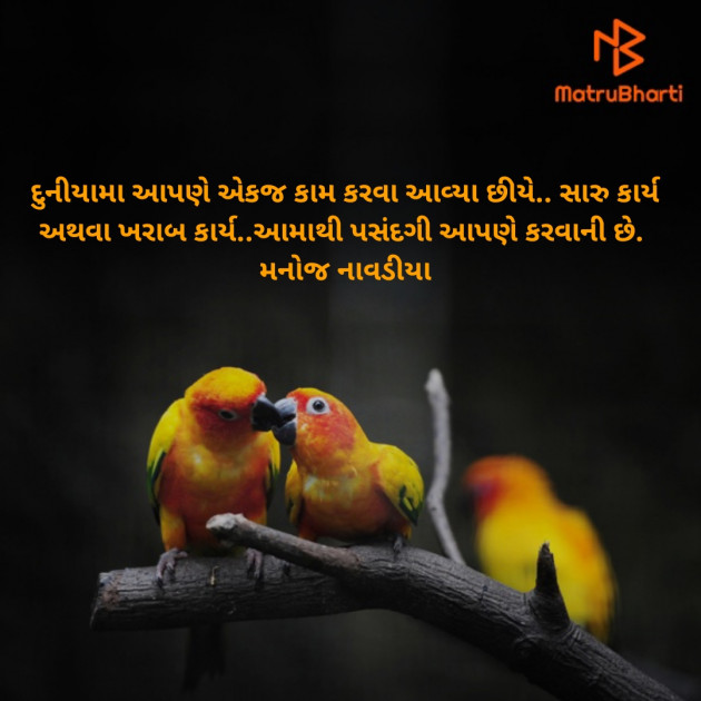 Gujarati Motivational by મનોજ નાવડીયા : 111441100