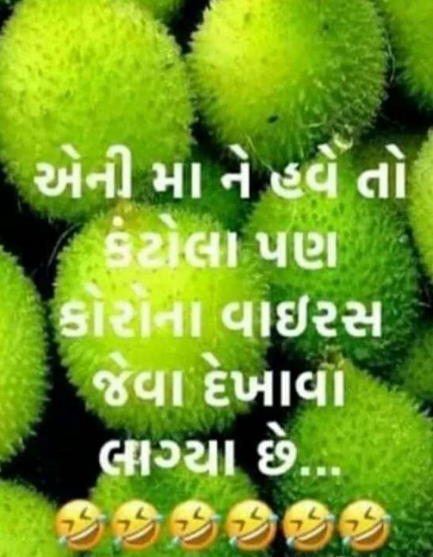 Gujarati Funny by Harshad Patel : 111441177