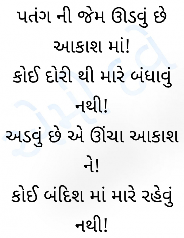 Gujarati Shayri by Ammy Dave : 111441345