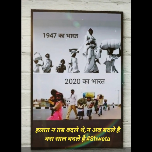 Hindi Blog by Shweta Singh : 111441460