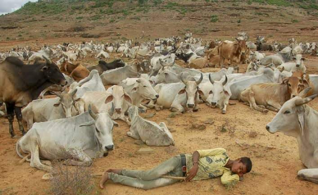 Hindi Blog by संजय कुमार दवे : 111441604