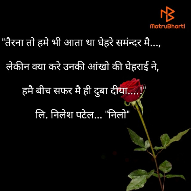 Hindi Shayri by Nilesh Patel : 111442128