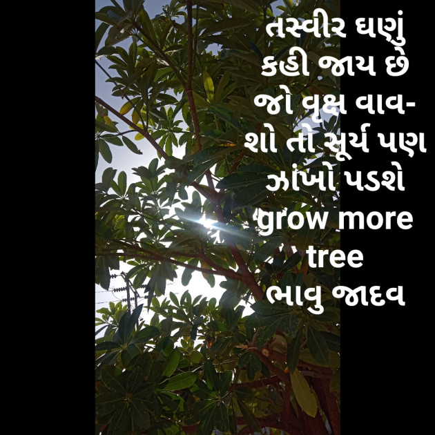 Gujarati Motivational by Bhavna Jadav : 111442762