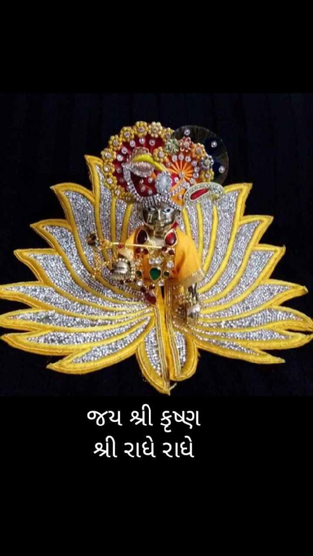 Gujarati Poem by Shree...Ripal Vyas : 111443062