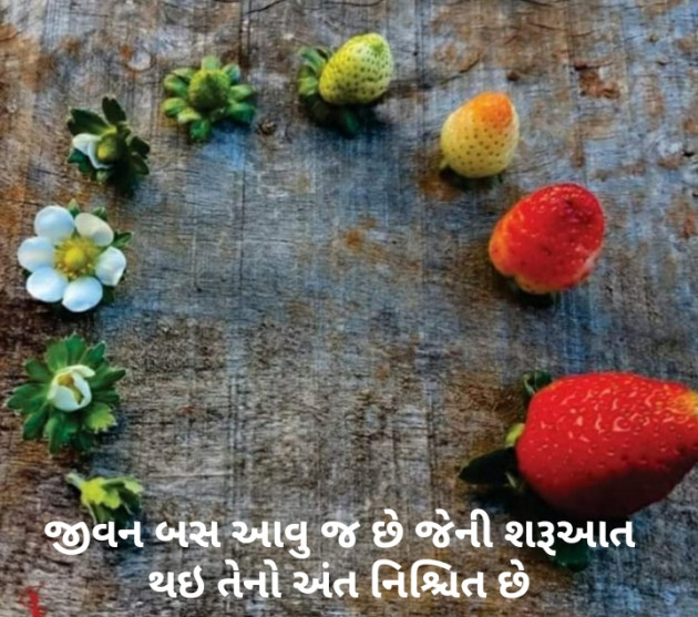 Gujarati Thought by Krutika : 111443830