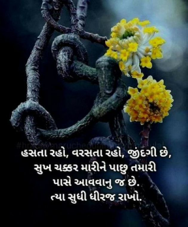 Gujarati Quotes by Hetal Bharda : 111443970