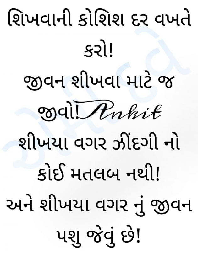 Gujarati Motivational by Ammy Dave : 111444002